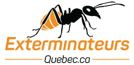 Exterminateurs Québec .ca.